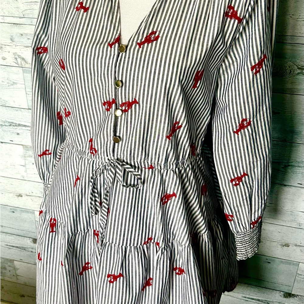 Striped Blue & White Dress with Red Embroidered Detail - Picture 3 of 4